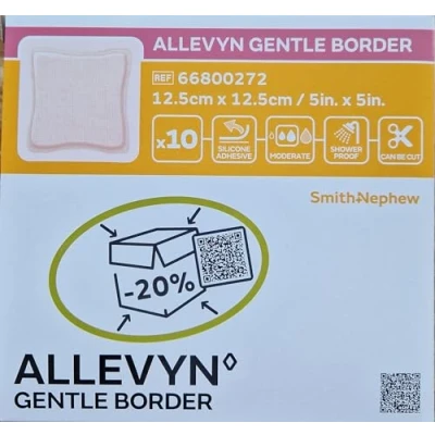 Image de Smith &amp; Nephew Set de 10 Pansement Hydrocellulaire Siliconé 12,5 cm x