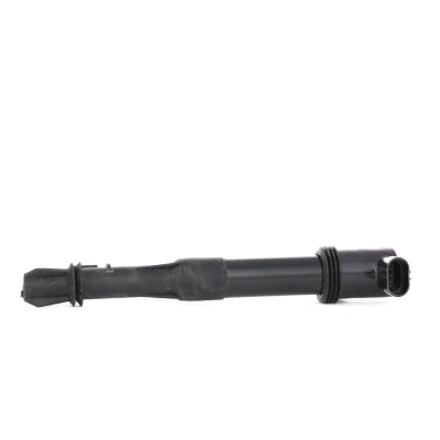 Image de RIDEX 689C0036 Bobine d&#039;allumage 12 FIAT: Stilo 3/5 portes, Doblo I Break, Multipla