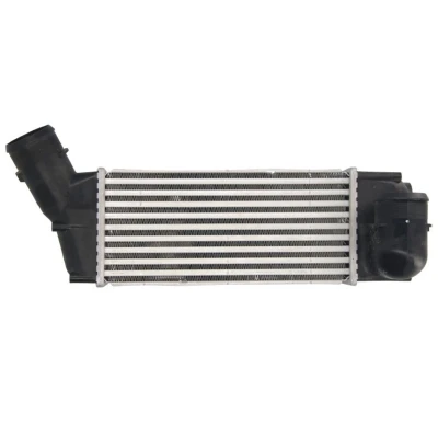 Image de THERMOTEC DAC018TT Intercooler PEUGEOT: 308 I 3/5 portes, 307 SW, CITROËN: C4 Picasso 1, Grand Picasso, portes