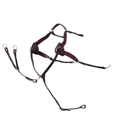 Image de Premiere Pectoral Full Marron
