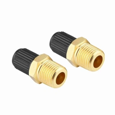 Image de EBTOOLS pour valvula schrader laton Valve for 18 NPT 2Pcs de remplissage réservoir compresseur d&#039;air double accessoires voiture 1/8 pouces Auto MPT Lait