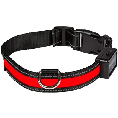 Image de Eyenimal Collier Lumineux L Rechargeable Usb Rouge pour Chien