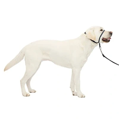 Image de PetSafe Gentle Leader Licol anti traction pour chien la solution ultime tirer Redirige de votre des promenades plus faciles Vous aide à reprendre le contrôle Taille
