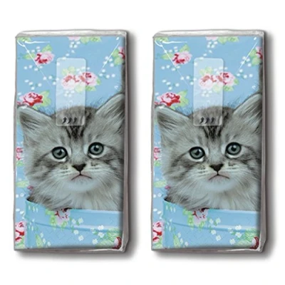 Image de 20 mouchoirs (2 x 10) à motif de chats/animaux mignons