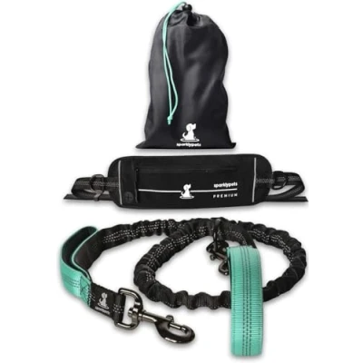 Image de Laisse Mains Libre pour Chien Grande et Moyenne Taille Anti Traction avec Coutures réfléchissantes Accessoire Le Jogging, la Marche à Pied, randonnée, l’Escalade