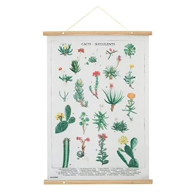 Image de Grupo Erik Wall Scroll, Décoration Murale en Tissu 53 x 71 cm Cactus et Succulentes, Poster Botanical Cacti, Toile, Kakemono