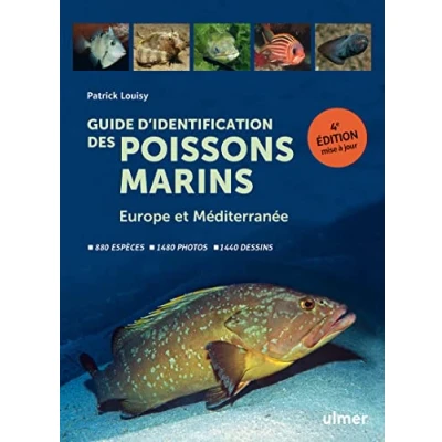 Image de Guide d&#039;identification des poissons marins Europe et Méditerranée Livre d’occasion Correct
