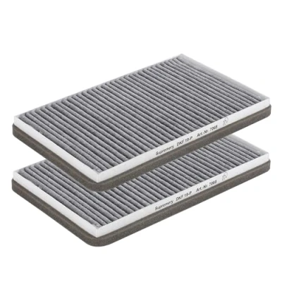 Image de Supremery 2x Filtres à charbon actif DKF 19 P compatibles avec Miele les hottes aspirantes, modèle successeur de 1