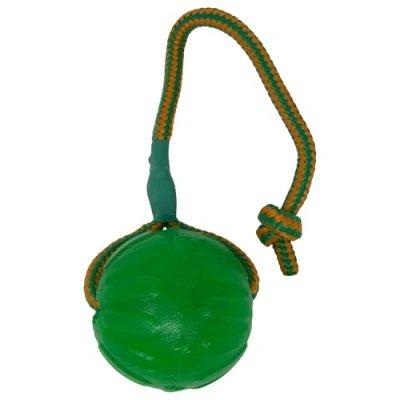 Image de EVERLASTING Swing n Fling Balle à Mâcher Jouet pour Chien 9 x 46 cm Taille M