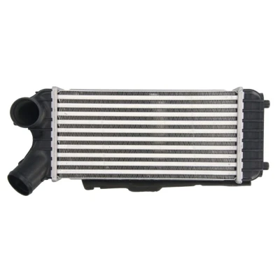 Image de THERMOTEC DAG024TT Intercooler FORD: Grand C Max, Max 2