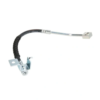 Image de DELPHI LH6579 Flexible De Frein 310 Banjo CHRYSLER: PT Cruiser Break