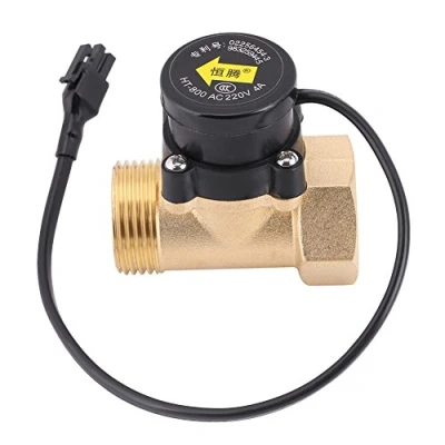 Image de Interrupteur de débit d&#039;eau HT 800 220V G1 Filetage Capteur Pompe à Eau Commande Automatique magnétique