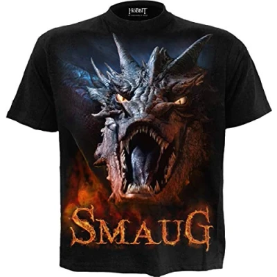 Image de WB Studio Le Hobbit Smaug T Shirt Noir XL