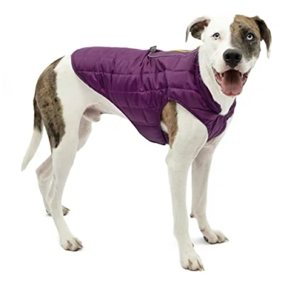 Image de Kurgo Veste pour Chien Loft, Combinable avec Un Harnais Chien, résistant à l&#039;eau et Bande réfléchissante, Idéal l&#039;hiver, Taille L, Violet/Gris