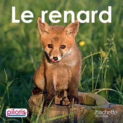 Image de Lecture CP Collection Pilotis Le Renard Album Edition 2019 Livre d’occasion Correct