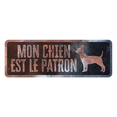 Image de D&amp;D Home, Panneau d&#039;avertissement Attention au Chien, 40x13x0,3 cm, Version française, Fond Noir, en métal résistant à la Rouille avec Un Texte Amusant
