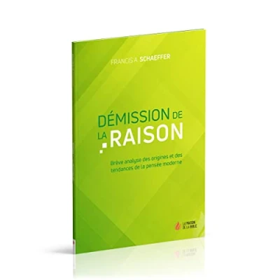 Image de Démission de la raison : Brève analyse des origines et tendances pensée moderne
