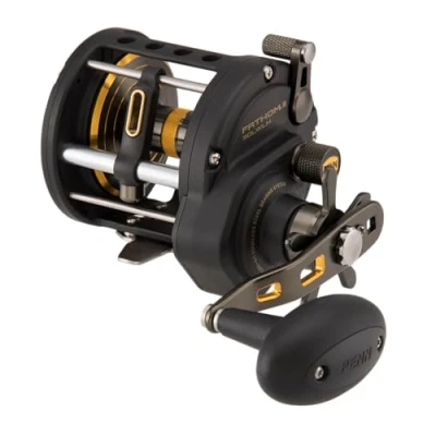 Image de Penn Fathom® II Level Wind Zeevis Reel LH 30 LW
