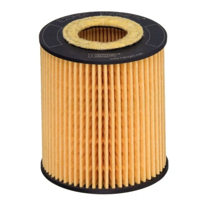 Image de HENGST FILTER E20H01 D293 Filtre à huile Cartouche filtrante FORD: S Max Mk1, MONDEO 4, 3, MAZDA: 3 5 portes, 6 CX 7