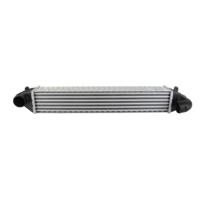 Image de NISSENS 96634 Intercooler FORD: Galaxy Mk1 MPV, SEAT: Alhambra I, VOLKSWAGEN: Sharan I