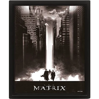 Image de Pyramid International Poster The Matrix en 3D Décoration murale lenticulaire dans un cadre (motif de cascade) 25 x 20 1,3 cm Produit officiel