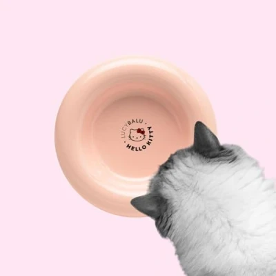Image de LucyBalu X Hello Kitty Drop Gamelle surélevée pour chat en porcelaine d&#039;eau ergonomique Blanc