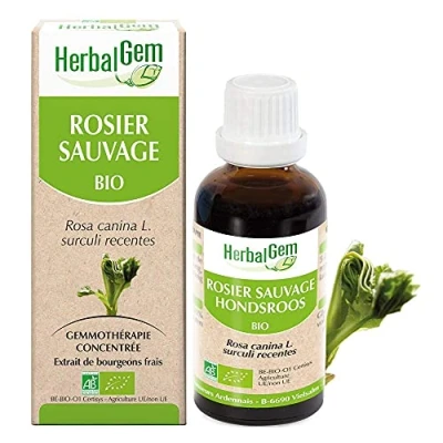 Image de Herbalgem Rosier Sauvage Bio Complément Alimentaire Extrait De Bourgeon Frais Pour Défenses Naturelles 30 ml