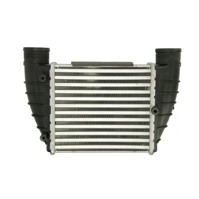 Image de THERMOTEC DAA016TT Intercooler 202 198 62 AUDI: A4 B7 Avant, Berline, B6/B7 Cabriolet
