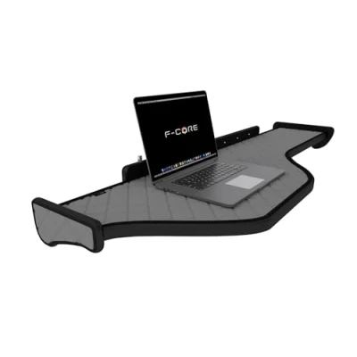 Image de F CORE Tablettes Tableau de Bord Camion compatibilité pour DAF XF 106 01.14 Double Panneau LED Gris
