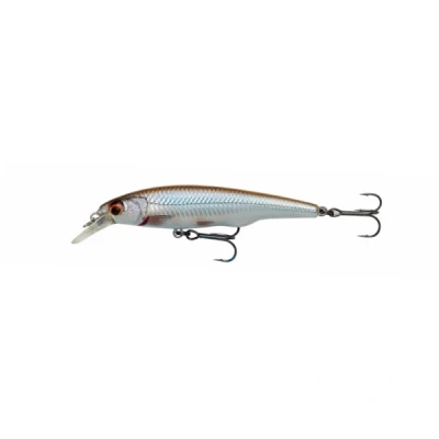 Image de Savage Gear Gravity Twitch Sr 8.3cm 10gr Suspending Roach Poisson nageurs