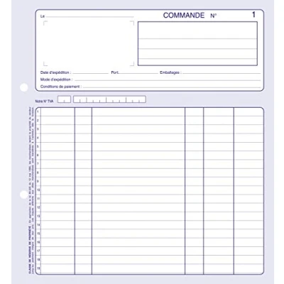 Image de LE DAUPHIN Manifold COMMANDES 210 x mm 50 Feuillets Tripli