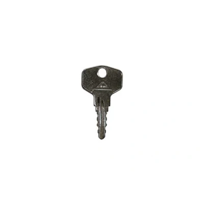 Image de Roto Clé de rechange d&#039;origine 1G1 44 mm pour poignées verrouillables