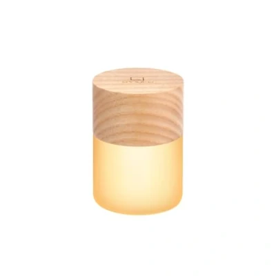 Image de Gingko Design Veilleuse Lemelia RVB à 7 couleurs changeantes, 6 cm de haut, batterie longue durée charge USB, 2 modes d&#039;éclairage, certifié FSC (frêne blanc), G026