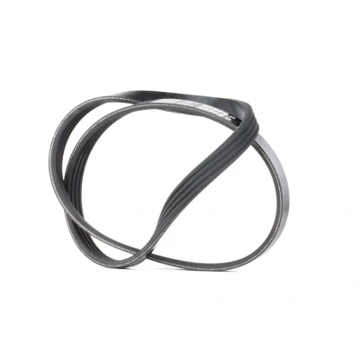 Image de BOSCH 1 987 946 127 Courroie Poly V 917 4 Elastic BMW: 3 Coupe, X3, Compact, FIAT: Stilo 3/5 portes, Multi Wagon