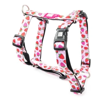 Image de Max &amp; Molly Harnais pour Chien en Forme de H, Ultra Confortable Néoprène Moyen, Strawberry Dream/M, Rembourré, Sûr Léger Confort Votre fidèle Compagnon