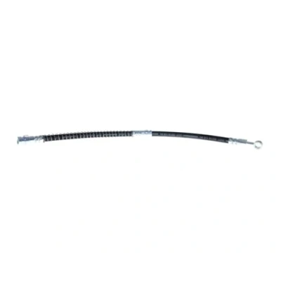 Image de DELPHI LH0494 Flexible De Frein 710 M10x1 Int SF VOLVO: S40 I, V40 Break, V70 MITSUBISHI: Space Star, Carisma 5 portes