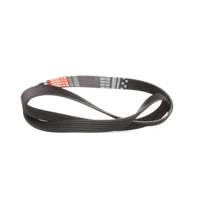 Image de GATES 6PK1320 Courroie Poly V 1320 6 Polyester, EPDM (éthylène propylène diène caoutchouc) RoadMax Value Line FIAT: Punto Evo 3/5 portes
