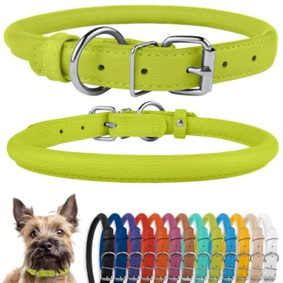 Image de CollarDirect Collier pour Chien en Cuir roulé, Chiot Rond rembourré Doux, véritable Fait à la Main Petit Grand Chat, 13 Couleurs (23 28 cm, Vert Citron texturé)