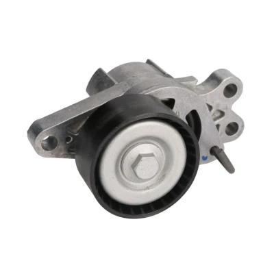Image de SKF VKM 33300 Poulie Tendeur PEUGEOT: 206+ 3/5 portes, 206 Partner I Combispace, CITROËN: Xsara Picasso, Berlingo / First