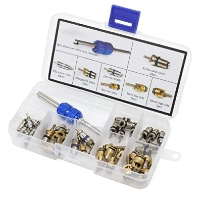 Image de HSeaMall 40 PCS A/C Valve Noyau R12 R134a Automobile Climatisation Réfrigération Pneu Tige Cœurs Remover Outil Assortiment Kit