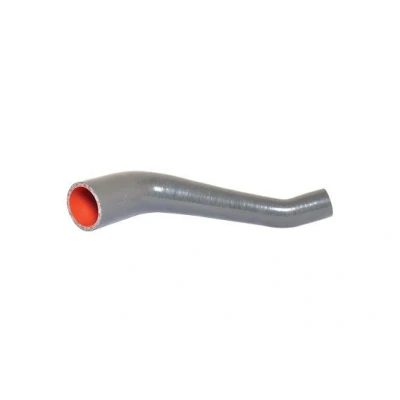 Image de BUGIAD 88480 Gaine De Suralimentation 57 FIAT: Doblo I Cargo, Break