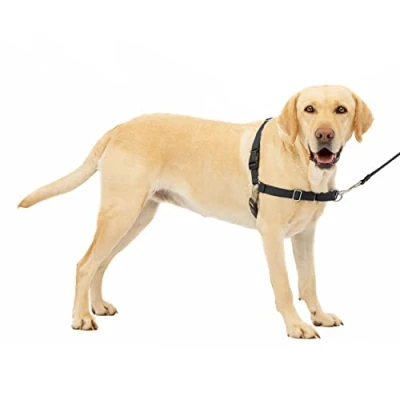 Image de PetSafe Harnais Easy Walk avec Boucle Anti Traction Et Laisse De 1,8 M, Promenade Confortable pour Vous Lui 4 Points Réglage â“ Résistant, Facile Ã Mettre Enlever Noir, Taille L