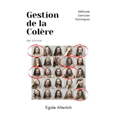Image de Manuel de gestion la colère: Méthode, techniques et exercices