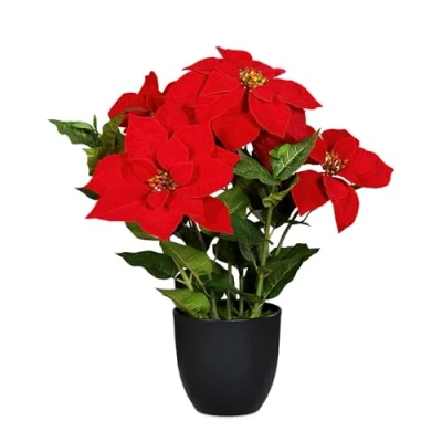 Image de Spetebo Poinsettia artificiel dans un pot noir 55 cm Fleur artificielle en réplique réaliste de Noël décorative soie d&#039;hiver avec fleurs veloutées