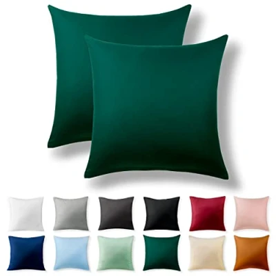 Image de Alreya Renforcé Taie d&#039;oreiller Lot de 2 100% Coton 60 x cm avec Fermeture éclair YKK Hypoallergénique sans Produits Chimiques Vert forêt