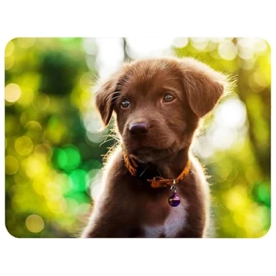 Image de Silent Monsters Tapis de Souris Taille L (360 x 250 mm) Mouse Pad Petit, Motif Chiot approprié pour Bureau et Gaming