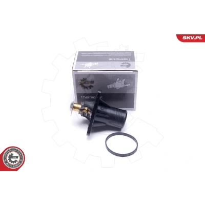 Image de Thermostat d&#039;eau ESEN SKV 20SKV193