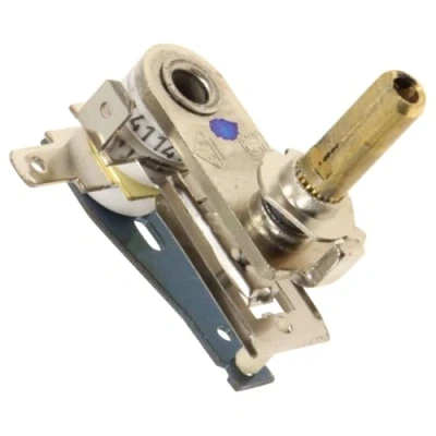 Image de Thermostat Groupe SEB SS992725 four
