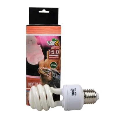 Image de ampoule compacte fluorescente Intense UVA/UVB pour reptile, 15.0, 13 W, 26 W