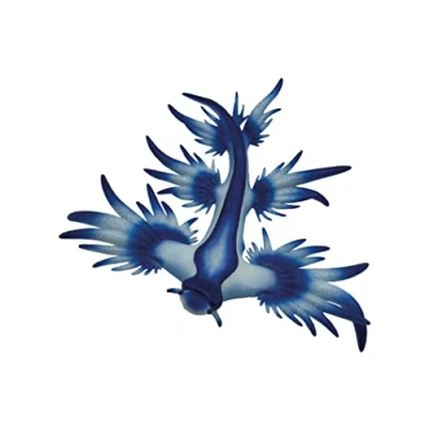 Image de Bullyland 67511 Figurine de Jeu Escargot Bleu l&#039;océan, d&#039;animal d&#039;environ 6,5 cm, fidèle au détail, sans PVC, comme gâteau et Petit Cadeau pour Les Enfants à partir 3 Ans,